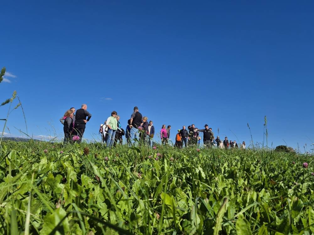 558176522_1429618042358873_5643566832358175335_n